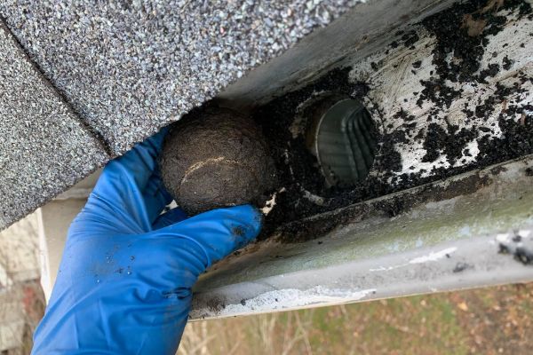 GUTTER CLEANING SERVICE IN NEWARk OH 2 1